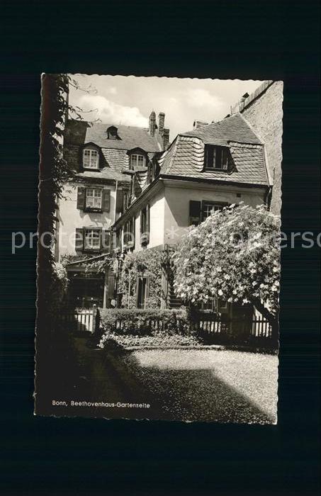 Bonn Rhein Beethovenhaus Gartenseite
