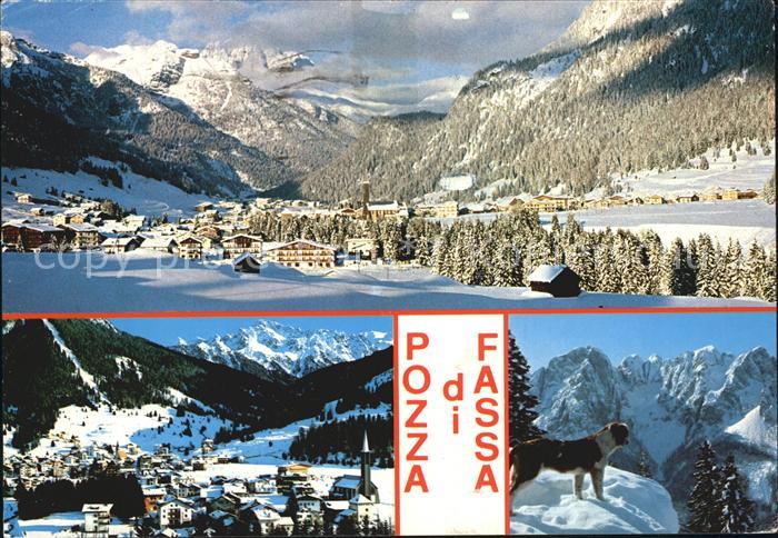 Pozza di Fassa Winterpanorama Alpen Bernhardiner Hund