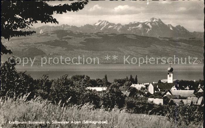 Kressbronn Bodensee Panorama mit Schweizer Alpen Saentisgruppe