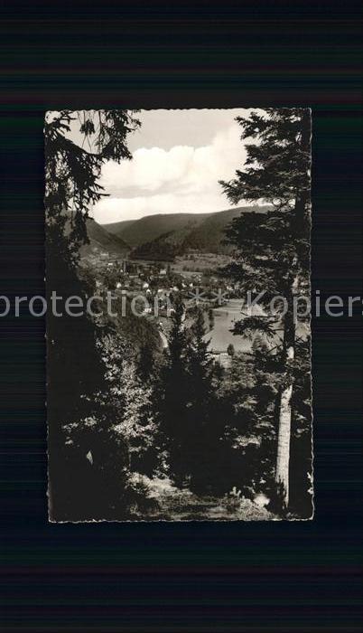 Hirsau Blick ins Nagoldtal