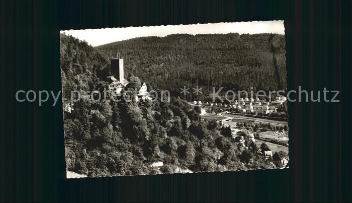 Bad Liebenzell Teilansicht mit Burg