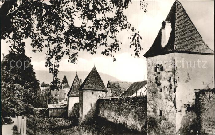 Greding Stadtmauerpartie