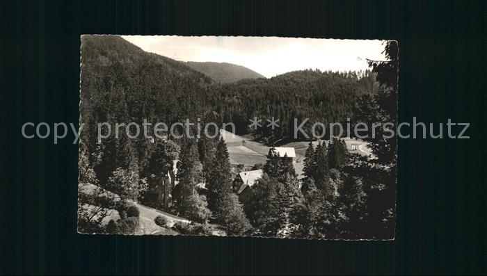 Allerheiligen Oppenau Teilansicht