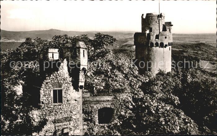 Auerbach Bergstrasse Schloss