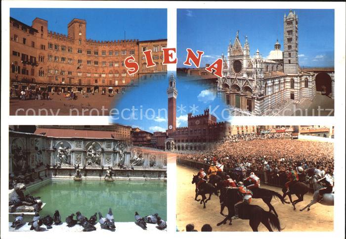 Siena Pferderennen Dom Brunnen