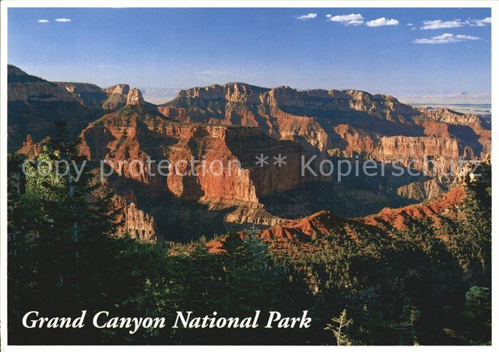 Grand Canyon National Park Panorama