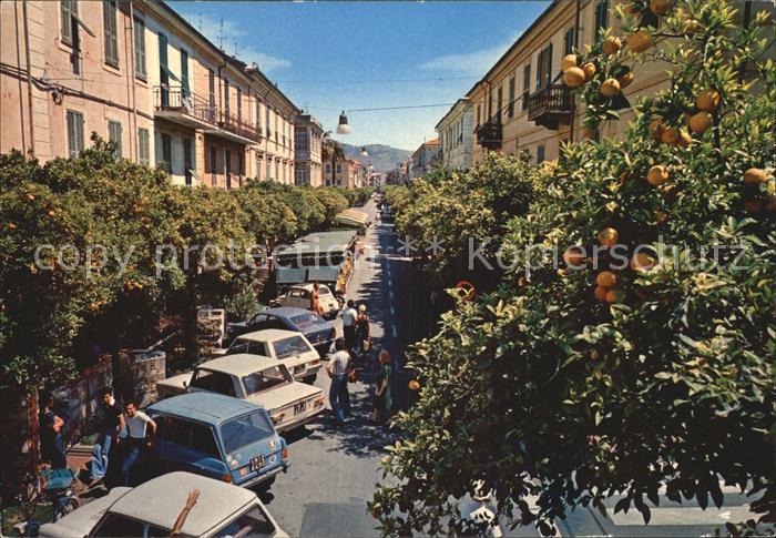 Diano Marina Via Roma Il Viale degli Aranci
