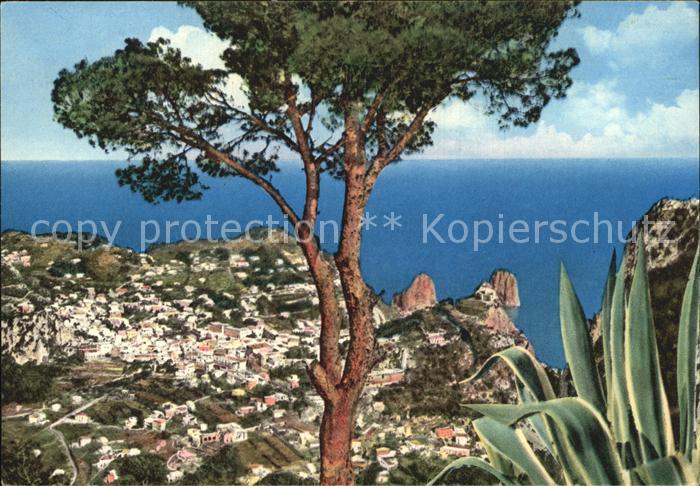 Capri Panorama