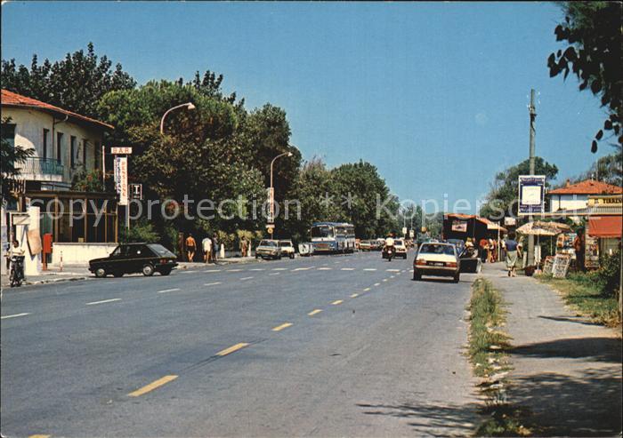Calambrone Pisa Viale del Tirreno