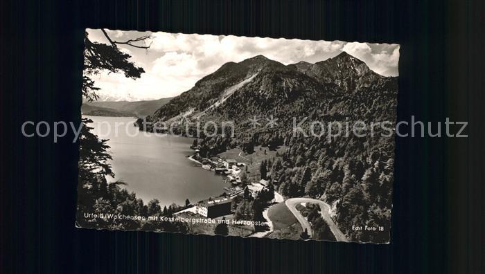 Walchensee Fliegeraufnahme