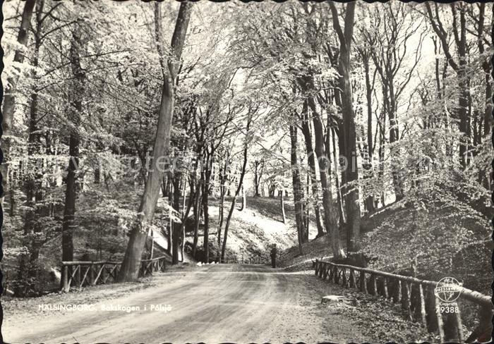Haelsingborg Bokskogen