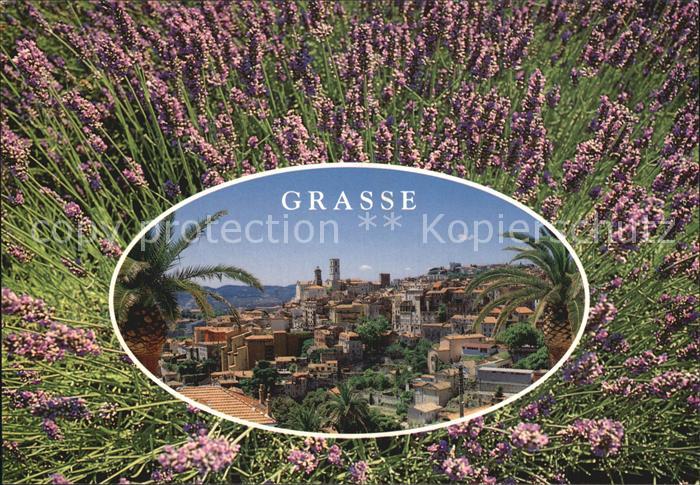 Grasse Alpes Maritimes Capitale des fleurs et des parfums