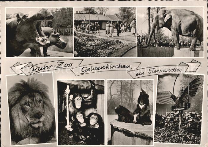 GELSENKIRCHEN NRW Ruhr-Zoo