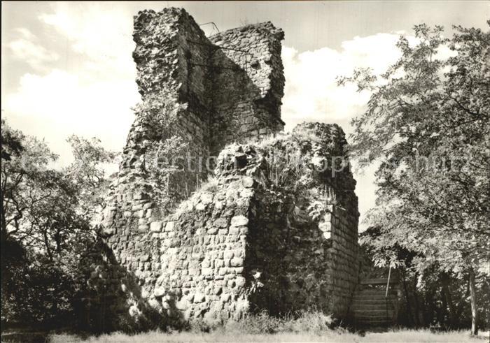 Stecklenberg Ruine der Lauenburg