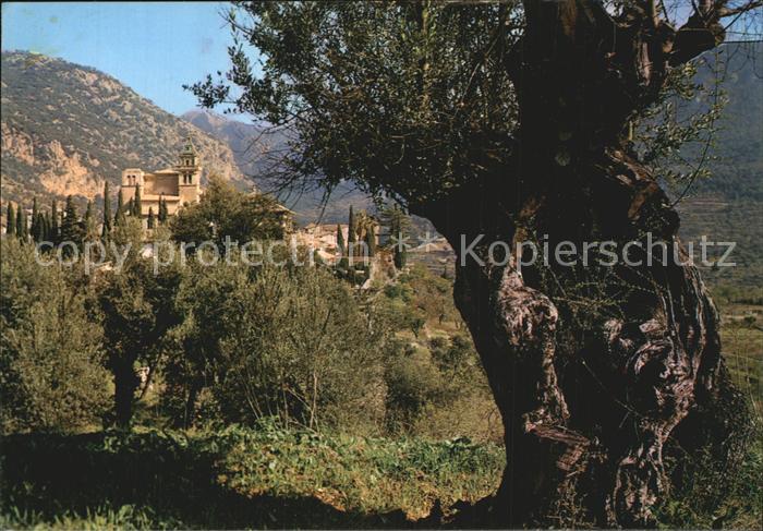 Valldemosa