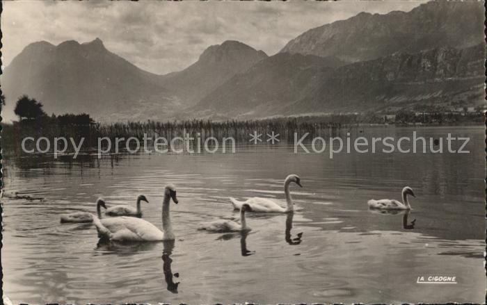 Talloires et le fond du La