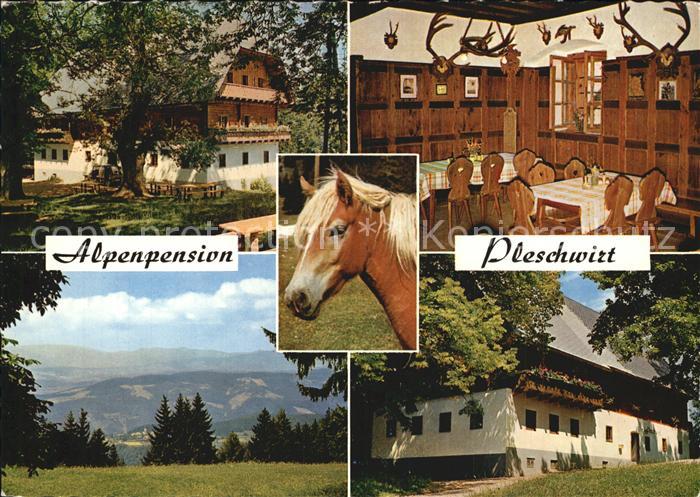 Rein Steiermark Alpenpension Pleschwirt Gastraum Panorama