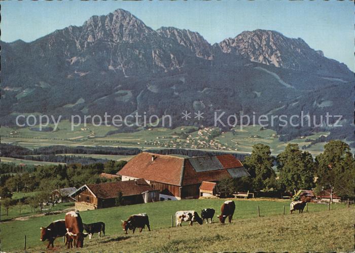 Zwiesel Niederbayern Strobl Alm am Hoegel mit Hochstaufen und Aufham