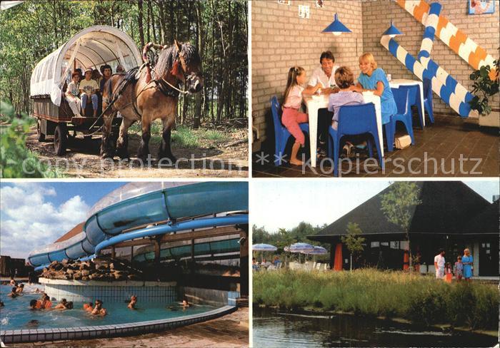 America Niederlande Vendorado Bungalowpark Loohorst Pferdeplanwagen Schwimmbad S