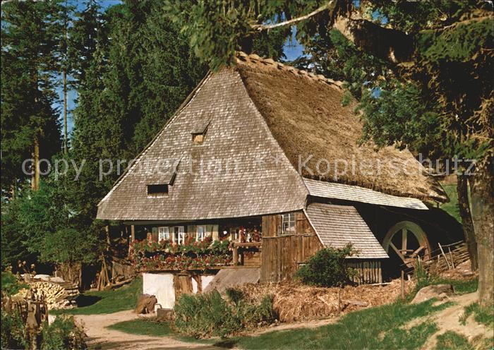 St Maergen Die Rankenmuehle im suedl Hochschwarzwald