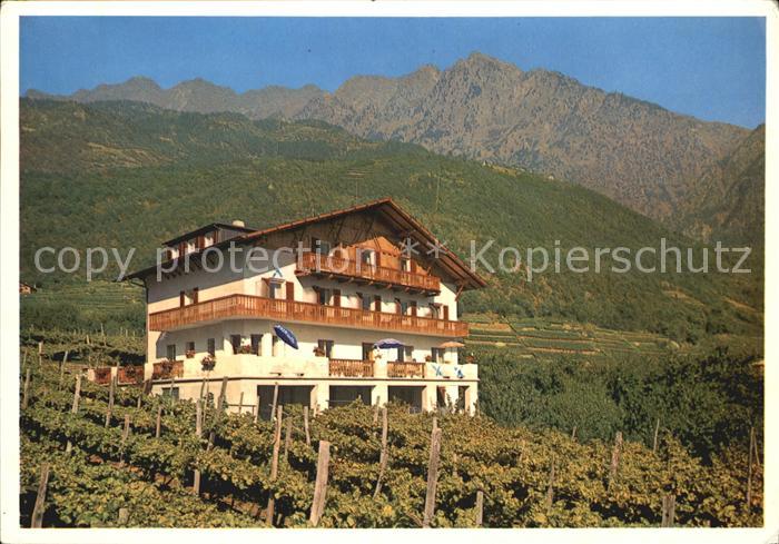 Algund Merano Gasthof Pension Moser