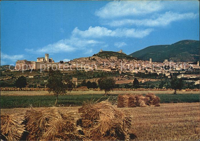 Assisi Umbria Panorama
