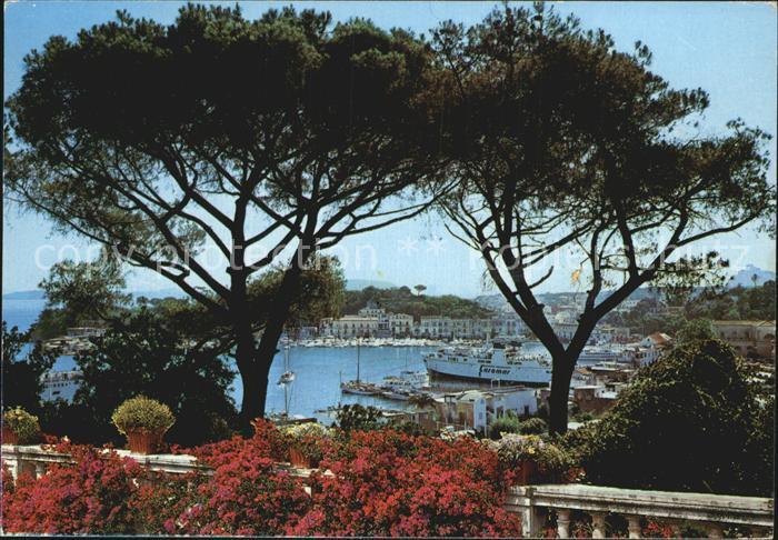 Ischia Der Hafen