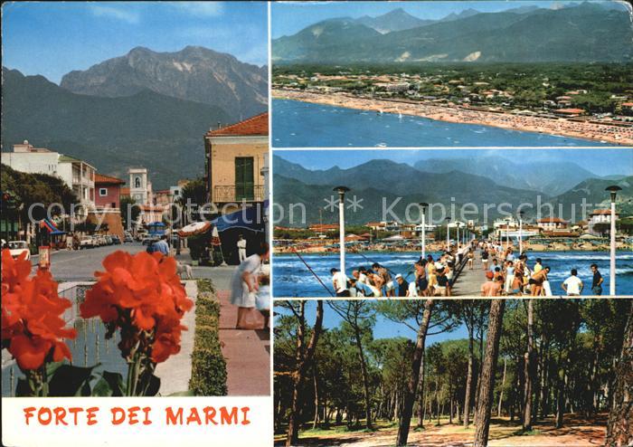 Forte dei Marmi Fliegeraufnahme Strand Seebruecke Pinienwald