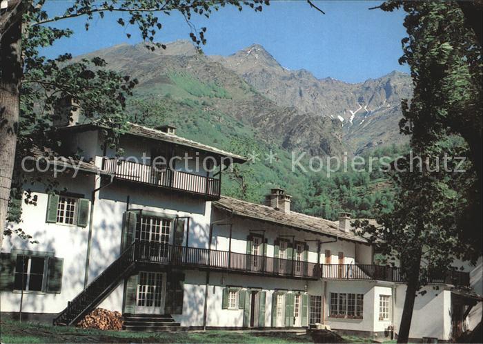 Villar Pellice Castagneto