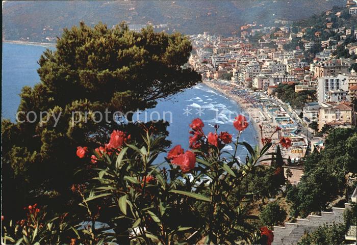 ALAssIO Savona Liguria IT Panorama