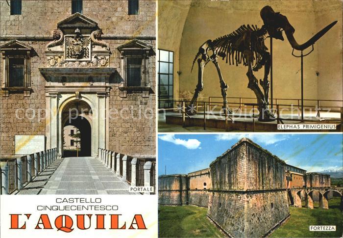 L Aquila Castello Cinquecentesco Partale Fortezza Elephas Primigenius