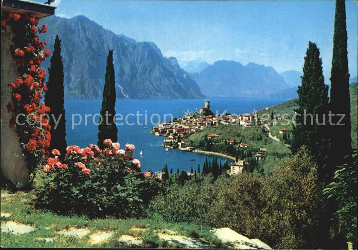 Malcesine Lago di Garda Gesamtansicht