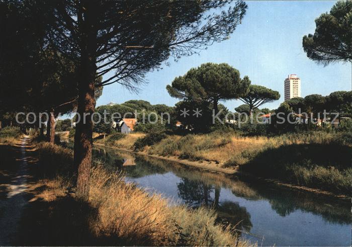 Milano Marittima Pinienwald Kleiner Kanal