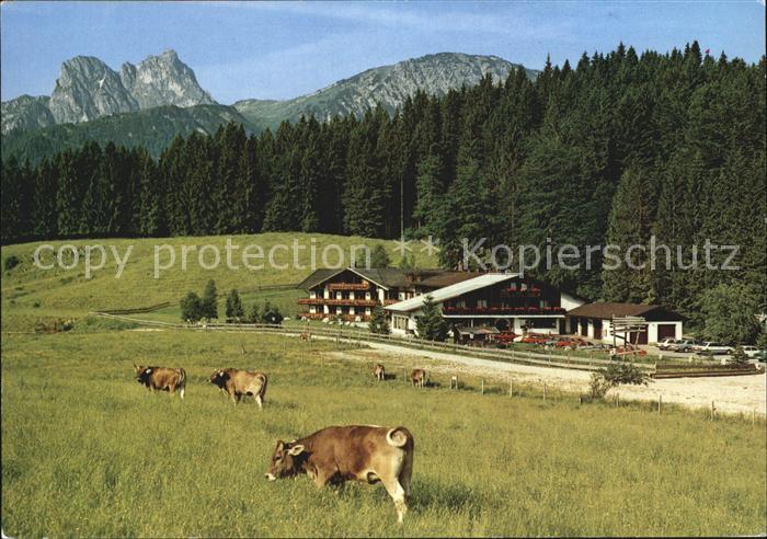 Pfronten Ostallgaeu Bayern Berghotel Schlossanger Alp