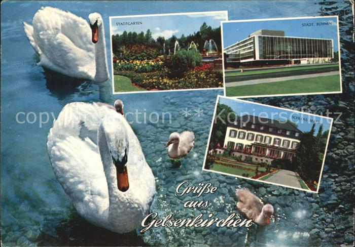 GELSENKIRCHEN NRW Stadtgarten Schloss Berge Staedtische Buehnen Schwaene