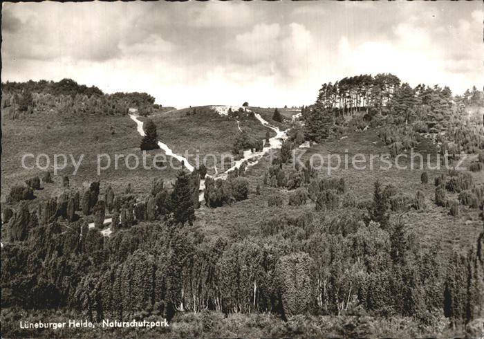 Lueneburger Heide Naturschutzpark