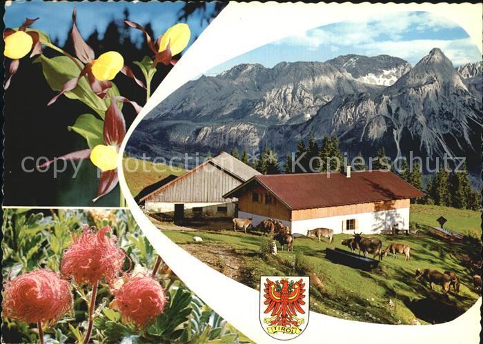 Lermoos Tirol Duftlalm