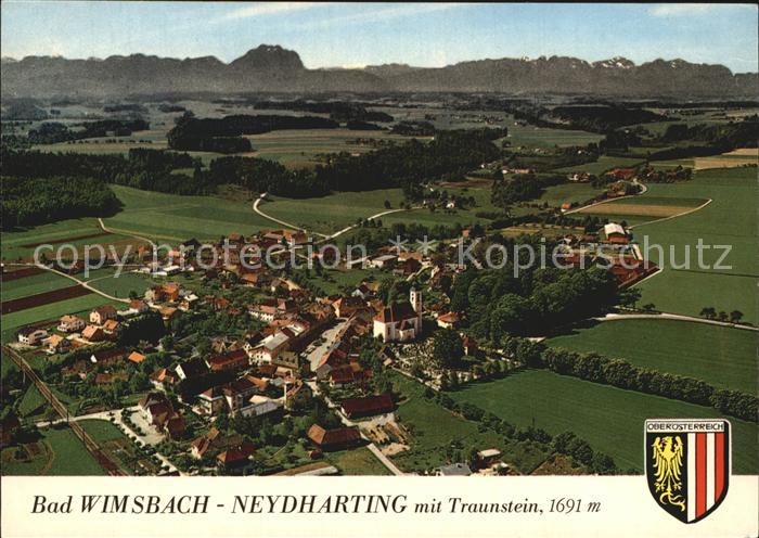 Bad Wimsbach-Neydharting Traunstein Panorama