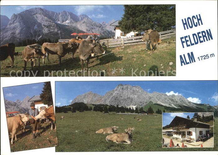 Ehrwald Tirol Hochfeldern Alm