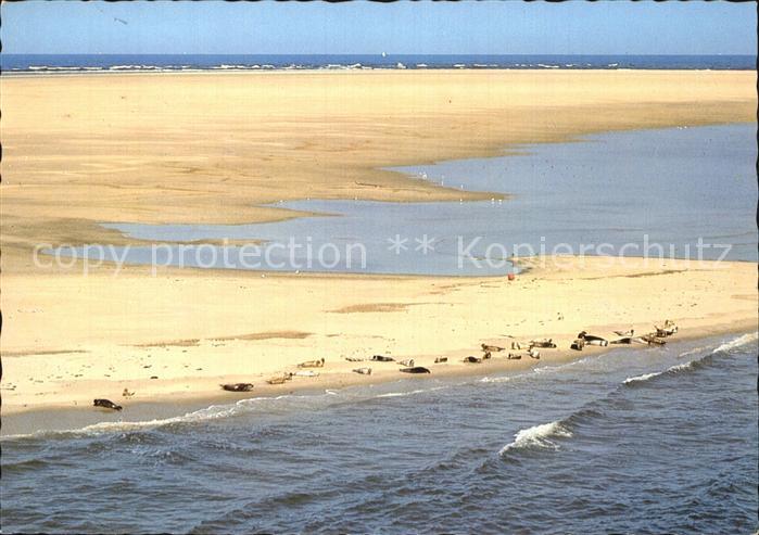 Buesum Nordseebad Seehundbank Luftaufnahme