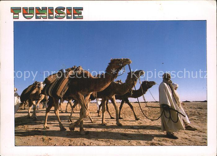 Tunesien Kamelkarawane
