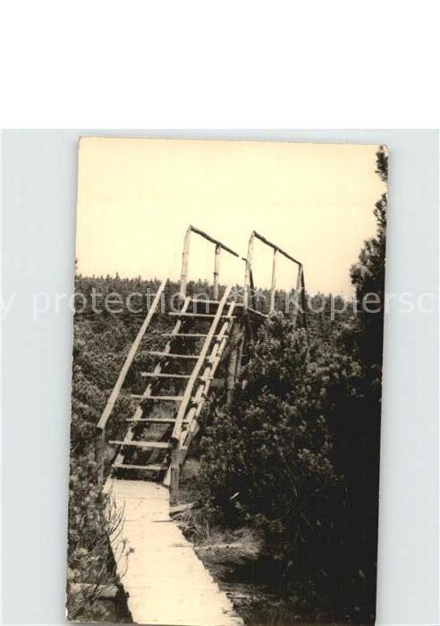 Georgenfeld Georgenfelder Hochmoor