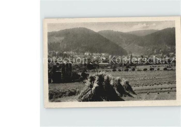 Friedrichroda Panorama Felder Landwirtschaft