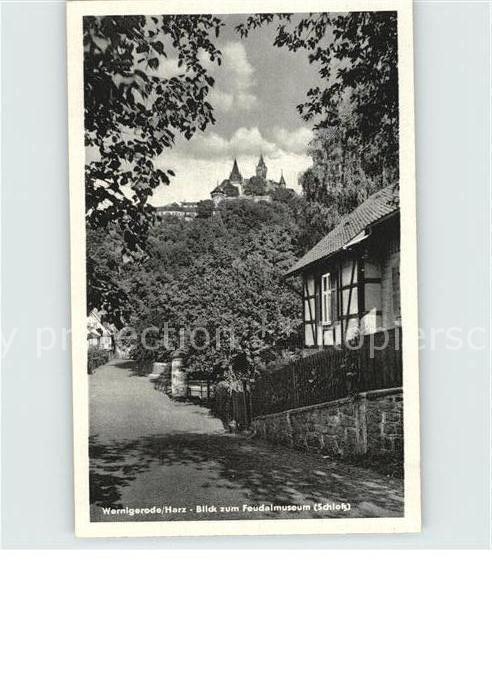 Wernigerode Harz Blick zum Feudalmuseum Schloss