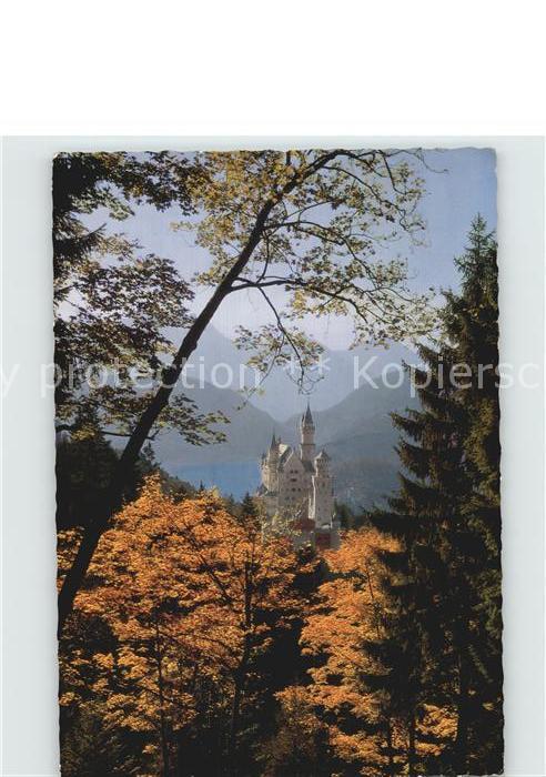 Hohenschwangau Koenigsschloss Neuschwanstein Alpsee Herbststimmung Alpen