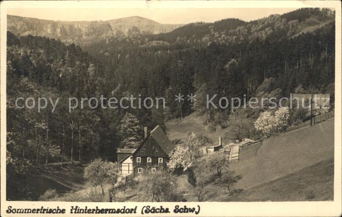 Hinterhermsdorf Dorfmotiv