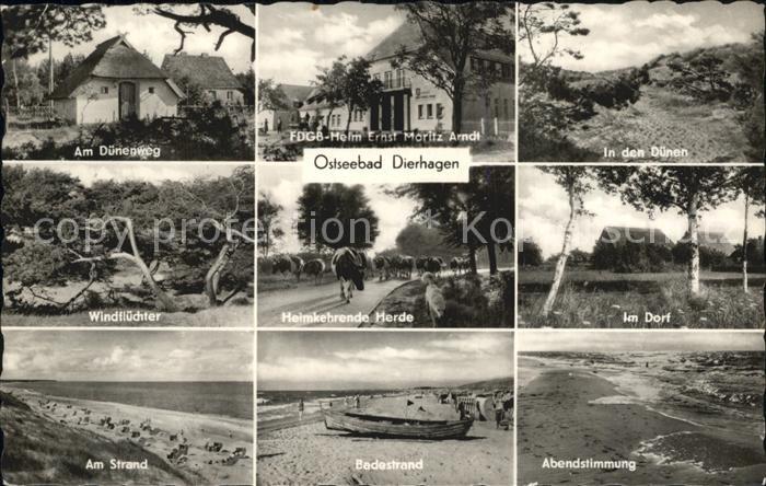 Dierhagen Ostseebad Duenenweg FDGB Erholungsheim Moritz Arndt Duenen Windfluecht