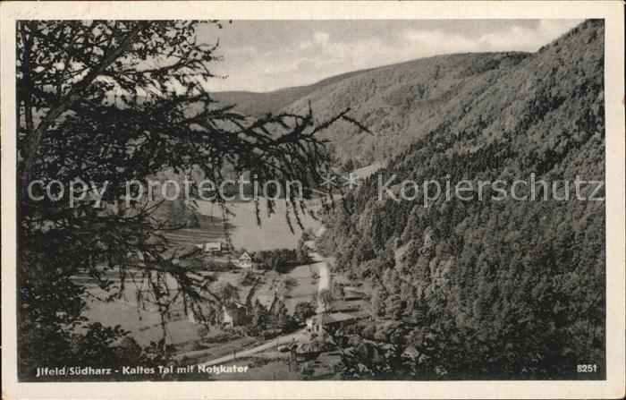 Ilfeld Suedharz Kaltes Tal mit Netzkater