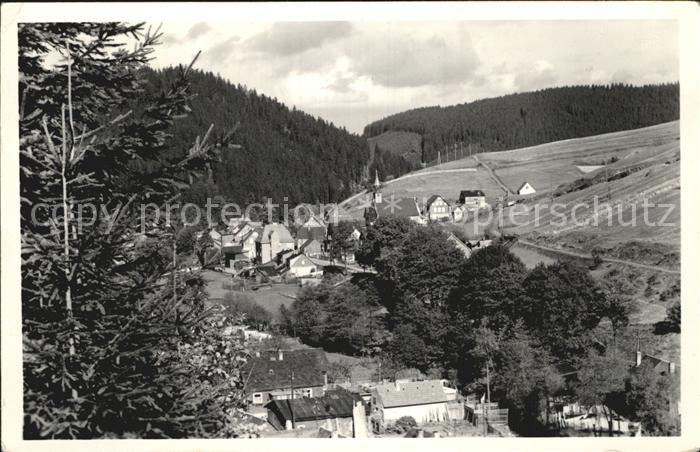 Goldisthal Teilansicht