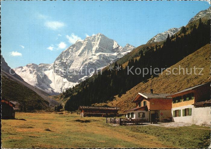 Stubaital Pinnisalm mit Habicht